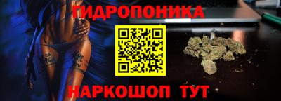 индика Краснодар