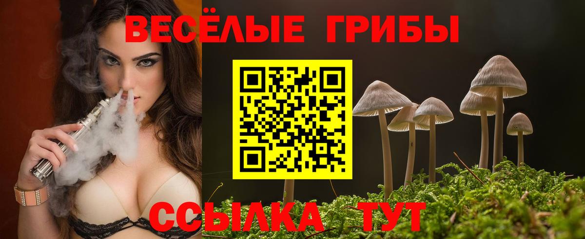 Псилоцибиновые грибы MAGIC MUSHROOMS Ессентуки