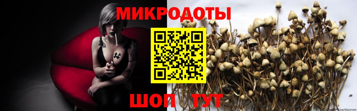 Ессентуки  Вход с VPN  Каннабис  МЕФ   НБОМе  ГАШИШ  КОКАИН 